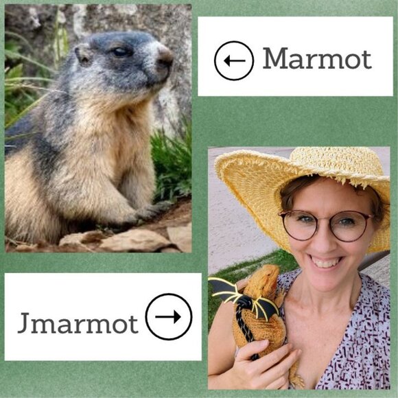 Laid-Back Live Show With Giveaways *Please Like to Know When I Go Live* - Picture 2 of 5